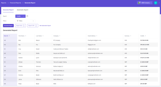 Financial Credit Report